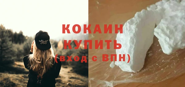 дживик Абаза