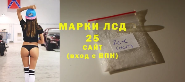 молекула духа Михайловск