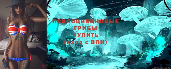 дживик Абаза