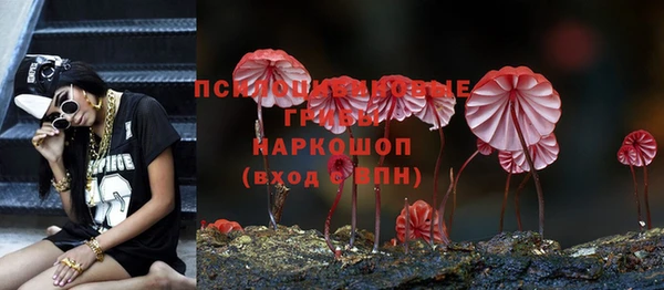 дживик Абаза