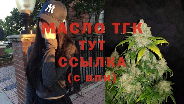 дживик Абаза