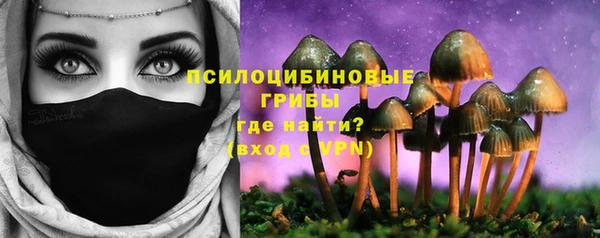 spice Абдулино